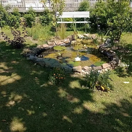 Le Presbytere Bed and Breakfast Beauficel