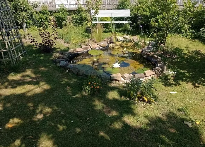 Le Presbytere Bed and Breakfast Beauficel